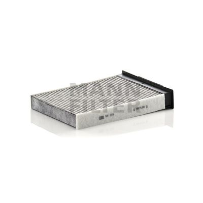 Фильтр салона Renault Megane 2 03- угольный